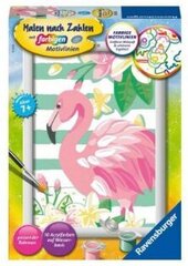 Maalaus numeroiden mukaan kehystetty "Flamingo" 13x18 Li R 28512 hinta ja tiedot | Maalaa numeroiden mukaan | hobbyhall.fi