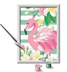 Maalaus numeroiden mukaan kehystetty "Flamingo" 13x18 Li R 28512 hinta ja tiedot | Maalaa numeroiden mukaan | hobbyhall.fi