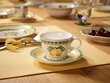 Villeroy & Boch French Garden Fleurance Teekuppi 0,20l hinta ja tiedot | Lasit, mukit ja kannut | hobbyhall.fi