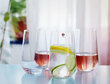 Iittala Essence juomalasi 55 cl 2 kpl, kirkas hinta ja tiedot | Lasit, mukit ja kannut | hobbyhall.fi