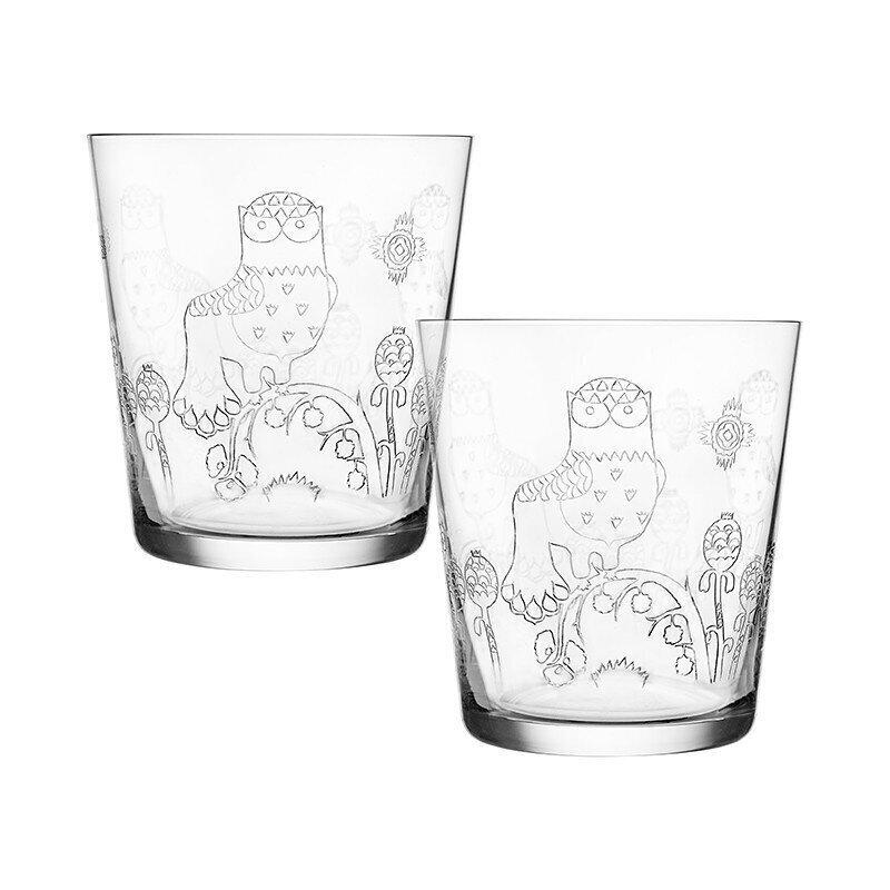 Iittala Taika juomalasi 38cl kirkas 2 kpl hinta ja tiedot | Lasit, mukit ja kannut | hobbyhall.fi