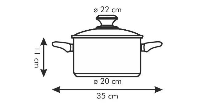 Tescoma Presto kattila kannella, 22 cm, 4 l. hinta ja tiedot | Kattilat ja painekattilat | hobbyhall.fi