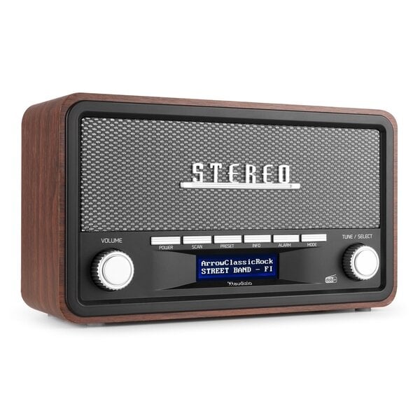 Audizio Foggia Retro DAB+ Radio Harmaa