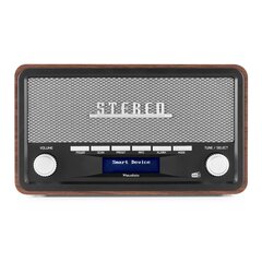 Audizio Foggia Retro DAB+ Radio Harmaa hinta ja tiedot | Kelloradiot ja herätyskellot | hobbyhall.fi