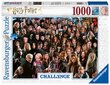 Palapeli 1000 kappaletta Challange Harry Potter hinta ja tiedot | Palapelit | hobbyhall.fi