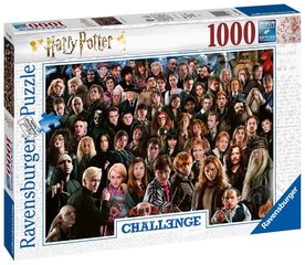 Palapeli 1000 kappaletta Challange Harry Potter hinta ja tiedot | Palapelit | hobbyhall.fi