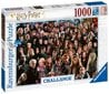 Palapeli 1000 kappaletta Challange Harry Potter hinta ja tiedot | Palapelit | hobbyhall.fi