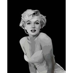 Maalaus numeroiden mukaan Marilyn Monroe 40x50 hinta ja tiedot | Maalaa numeroiden mukaan | hobbyhall.fi