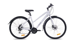 Insera Hybrid Evo N -hybridipyörä, 48 cm, valkoinen hinta ja tiedot | Polkupyörät | hobbyhall.fi