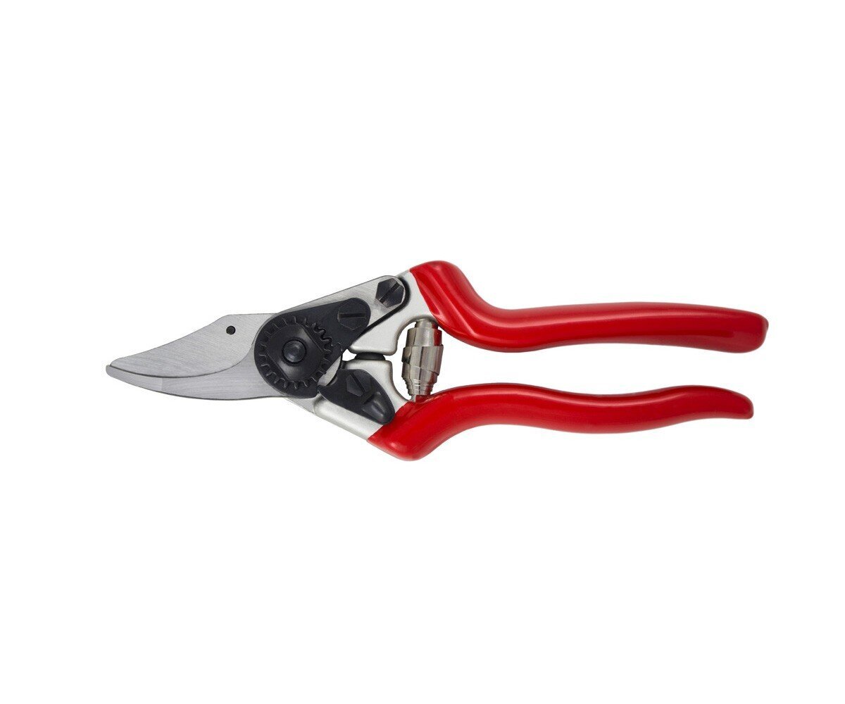 Expert Fine Bypass Pruner hinta ja tiedot | Puutarhatyökalut | hobbyhall.fi