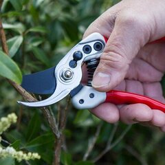 Expert Small Bypass Pruner hinta ja tiedot | Puutarhatyökalut | hobbyhall.fi