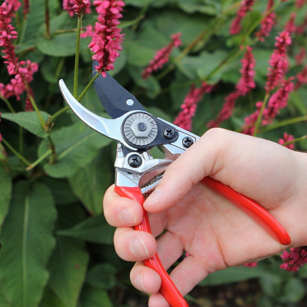 Small Bypass Pruner hinta ja tiedot | Puutarhatyökalut | hobbyhall.fi