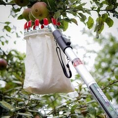 S/T Fruit Pick Basket hinta ja tiedot | Puutarhatyökalut | hobbyhall.fi