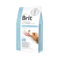 Brit GF Veterinary Diets aikuisille koirille lammasta ja herneillä Obesity, 2 kg hinta ja tiedot | Brit Vet Lemmikit | hobbyhall.fi