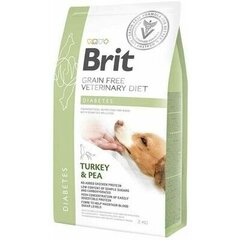 Brit GF Veterinary Diets aikuisille koirille kalkkunan ja herneen kanssa Diabetes, 2 kg hinta ja tiedot | Koiran kuivaruoka | hobbyhall.fi