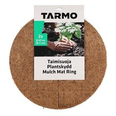 Tarmo Taimisuoja Palmu 45 cm 2 kpl hinta ja tiedot | Puutarhatyökalut | hobbyhall.fi