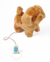 Interaktiivinen koiranpentu hihnalla Metro Pet, ruskea hinta ja tiedot | Metro Pet Lelut | hobbyhall.fi