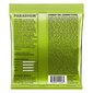 Kielet sähkökitaralle Ernie Ball Paradigm Regular Slinky 10-46 (7 kpl) hinta ja tiedot | Soittimien lisätarvikkeet | hobbyhall.fi