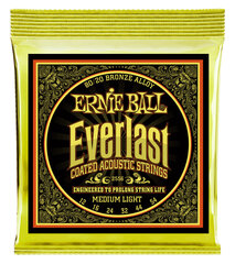 Kielet akustiselle kitaralle Ernie Ball P02546 hinta ja tiedot | Ernie Ball Kodinkoneet ja kodinelektroniikka | hobbyhall.fi