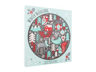 Joulukalenteri/lahjasetti Winter Wonderland hinta ja tiedot | Somerset Toiletry Hajuvedet ja kosmetiikka | hobbyhall.fi