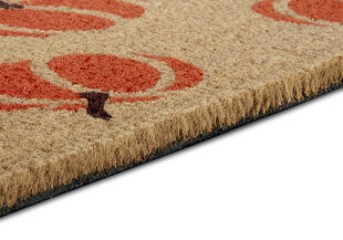 Hanse Home Mix Mats Cocos kynnysmatto 45x75 cm hinta ja tiedot | Ovimatot | hobbyhall.fi