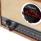 Audizio Salerno DAB+ radio CD-soittimella hinta ja tiedot | Stereojärjestelmät | hobbyhall.fi