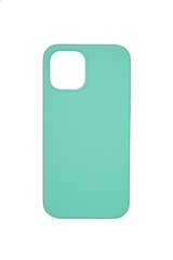 Silikonikotelo Apple iPhone 12/12 Pro SoundBerry (real liquide silicone Easy Clean), vihreä - waitrose hinta ja tiedot | Puhelimen kuoret ja kotelot | hobbyhall.fi