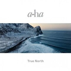 2LP a-ha True North (180g, Recycled Black Vinyl) hinta ja tiedot | Vinyylilevyt, CD-levyt, DVD-levyt | hobbyhall.fi