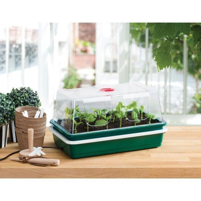 One Top Electric Propagator 8w hinta ja tiedot | Istutusruukut ja minikasvihuoneet | hobbyhall.fi