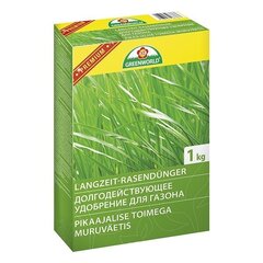 Pitkäkestoinen nurmikon lannoite, 1 kg hinta ja tiedot | Kuivat lannoitteet | hobbyhall.fi