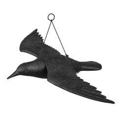 Lentävä varis, musta, Bradas hinta ja tiedot | Puutarhakoristeet | hobbyhall.fi