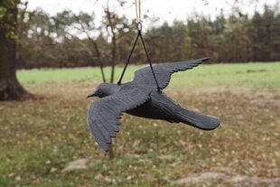 Lentävä varis, musta, Bradas hinta ja tiedot | Puutarhakoristeet | hobbyhall.fi