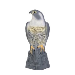 Falcon, lintujen karkottaja, Bradas hinta ja tiedot | Puutarhakoristeet | hobbyhall.fi