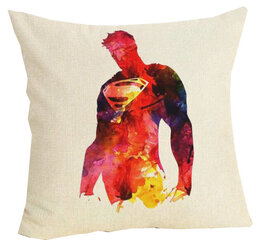 DC Superman tyynynpäällinen hinta ja tiedot | Koristetyynyt ja tyynynpäälliset | hobbyhall.fi