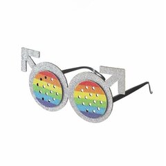 Silmälasit My Other Me Rainbow hinta ja tiedot | Naamiaisasut | hobbyhall.fi