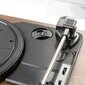Fenton RP161 levysoitin HQ BT Pähkinäpuuta hinta ja tiedot | Vinyylilevysoittimet ja gramofonit | hobbyhall.fi