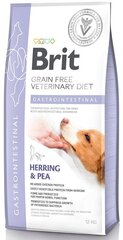 Brit GF Veterinary Diets aikuisille koirille silakan ja herneen kanssa Gastrointestinal, 12 kg hinta ja tiedot | Brit Vet Lemmikit | hobbyhall.fi