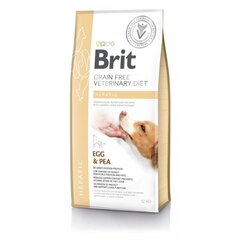 Brit GF Veterinary Diets aikuisille koirille munalla ja herneellä Renal, 12 kg hinta ja tiedot | Koiran kuivaruoka | hobbyhall.fi