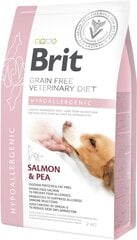 Brit GF Veterinary Diets aikuisille koirille lohen ja herneen kanssa Hypoallergenic, 2 kg hinta ja tiedot | Koiran kuivaruoka | hobbyhall.fi
