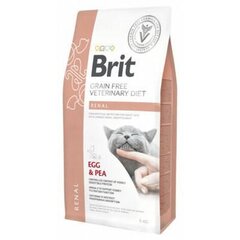 Kuivaruoka Brit GF Veterinary Diets aikuisille kissoille munalla ja herneellä Munuaiset, 5 kg hinta ja tiedot | Brit Vet Lemmikit | hobbyhall.fi