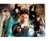Palapeli 500 kpl Harry Potter 2 hinta ja tiedot | Palapelit | hobbyhall.fi