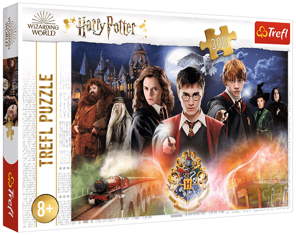 Palapeli 300 Pieces Salaperäinen Harry Potter hinta ja tiedot | Palapelit | hobbyhall.fi