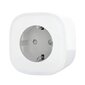 Smart plug WiFi MEROSS MSS210EU (Apple HomeKit) hinta ja tiedot | Kytkimet ja pistorasiat | hobbyhall.fi