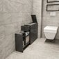 Kylpyhuonekaappi Kalune Design 854, harmaa hinta ja tiedot | Kylpyhuonekaapit | hobbyhall.fi