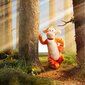 Simba Disney Tiikeri pehmolelu, 35 cm hinta ja tiedot | Pehmolelut | hobbyhall.fi