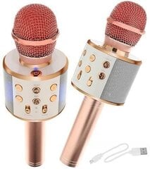 Karaoke Bluetooth hinta ja tiedot | Mikrofonit | hobbyhall.fi