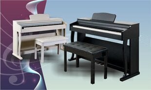 MAXSETBL-88 digitaalinen piano, valkoinen hinta ja tiedot | Kosketinsoittimet | hobbyhall.fi