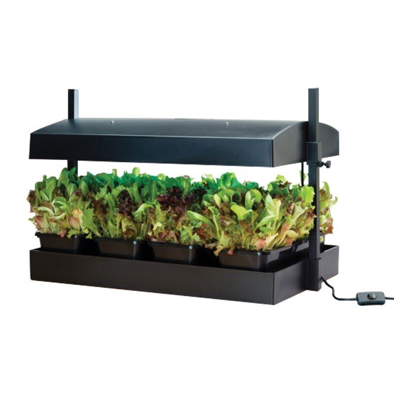 Grow Light Garden 2x24w, musta hinta ja tiedot | Sisäpuutarhat ja kasvilamput | hobbyhall.fi