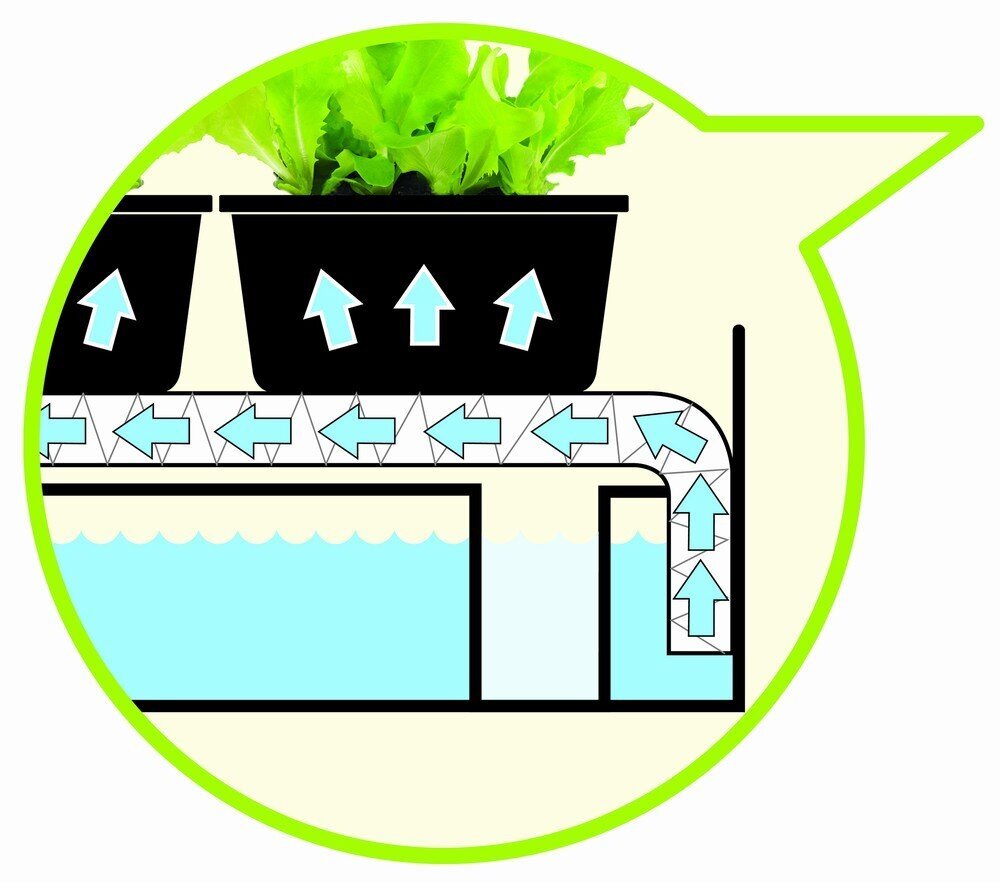 Grow Light Garden 2x24w, musta hinta ja tiedot | Sisäpuutarhat ja kasvilamput | hobbyhall.fi