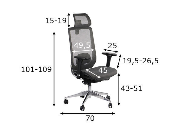 Toimistotuoli A2A Ditter, harmaa hinta ja tiedot | Toimistotuolit | hobbyhall.fi